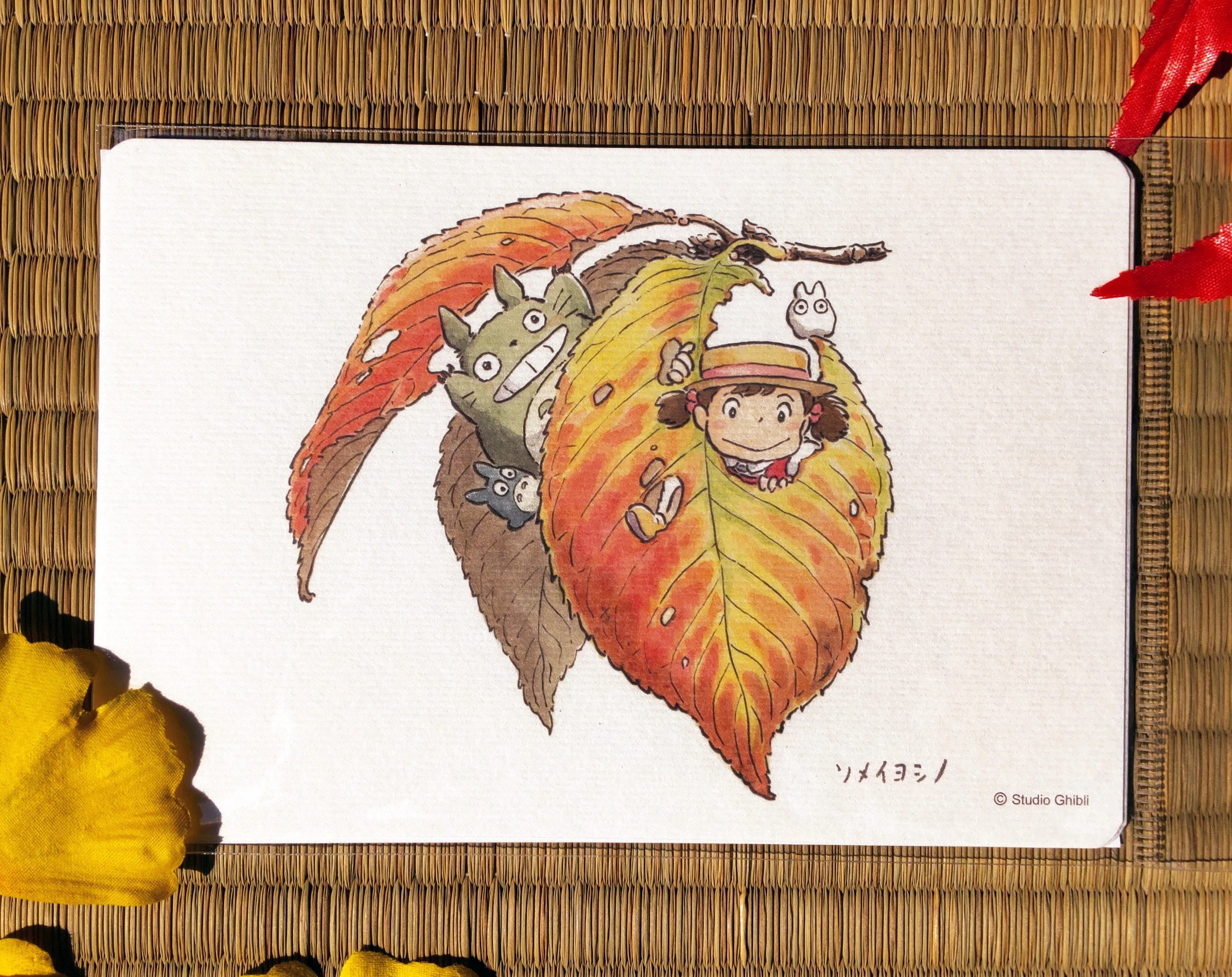 Thumbnail 2